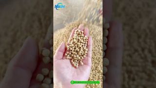 200-4000 kg/saat ıslak Tip yüzen balık yemi pelet ekstruder makinesi #ıslak tip balık yemi ekstruder