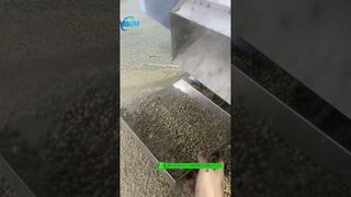 200 kg/saat yüzen balık yemi pelet ekstruder makinesi paketlemeden önce test ediliyor #fishfeedmachine
