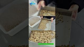 DGP-85 Balık Yemi Pelet Üretim Hattı | Giriş ve Tüm Süreç Demosu#balık yemi üretim hattı
