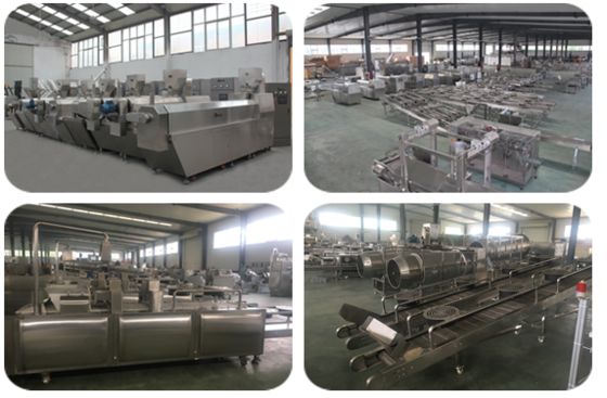 WEG / Siemens Motor Pet Treat Makinesi Çeşitli Bileşenler Eklendi