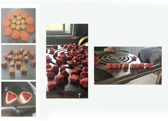 Etli Atıştırmalıklar / Evcil Hayvan Maması İşleme Hattı / Soğuk Ekstrüzyon Evcil Hayvan Maması Üretim Makinesi