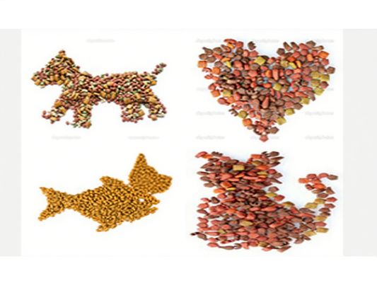 Köpek, Kedi, Balık İçin Profesyonel Pet Gıda Ekstrüzyon Cihazı / Çift Vidalı Ekstrüzyon Cihazı