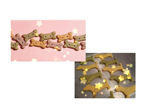 DR -280 Paslanmaz Çelik Renkli Köpek Bisküvi Yapma Makinesi, Kararlı Performans ile