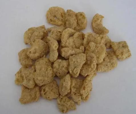 Sürekli ve Otomatik Soya Extruder Makinesi
