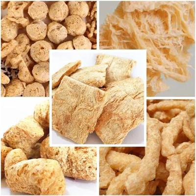 TVP TSP Sebze Soya Parçacıkları Ekstrüder Makinesi 110kw CE Sertifikası