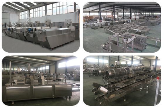 Paslanmaz Çelik Sarsıntılı Pet Gıda Üretim Hattı 300-500kg / Saat