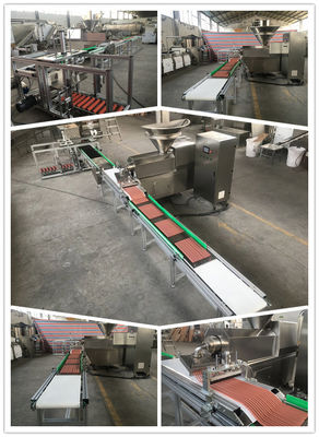 Tam Otomatik Etli Şerit Pet Gıda İşleme Hattı Toplantısı Food Grade Tasarruf Emek