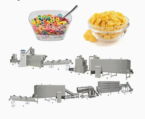 Kelloggs Corn Flakes İşleme Hattı