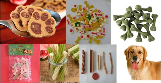 Gıda Sınıfı Köpek Maması Extruder Diş Bakımı Atıştırmalık Ekstrüzyon Hattı