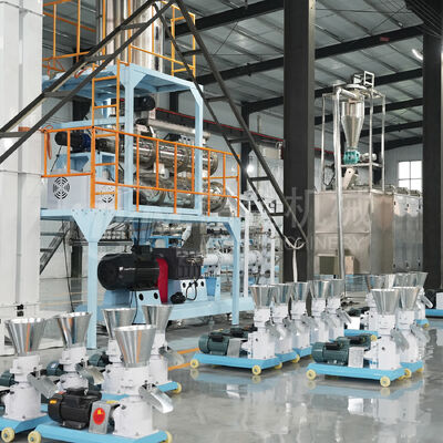 Dry Floating Fish Feed Pellet Processing Line 200kg/H-6000kg/H Animal Pet Cat Dog Food Making Extruder Machine