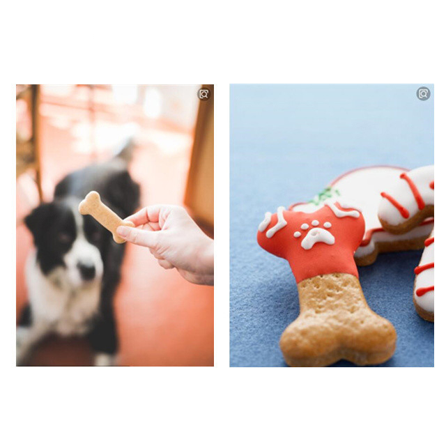 1000kg/8saat Köpek Çiğneme Diş Bakımı Evcil Hayvan Yemi İşleme Makinesi 12 Ay Garanti